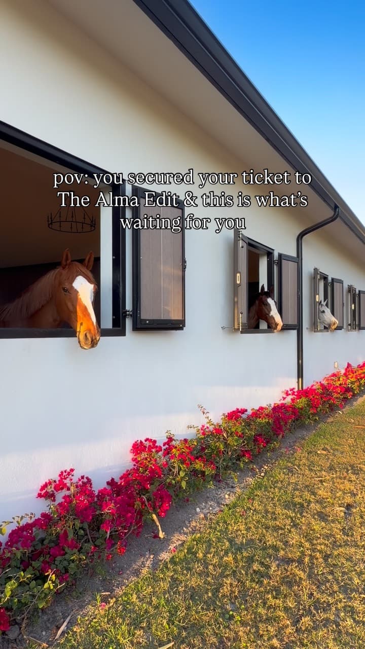 The Alma Edit @almaequestrians by @hudsonhauscollective 🐴 A morning made for movement, connection, and a little escape